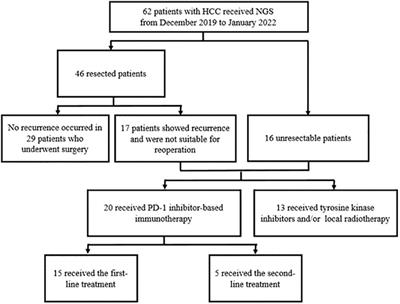 Chromosome 11q13 amplification correlates with poor response and prognosis to PD-1 blockade in unresectable hepatocellular carcinoma